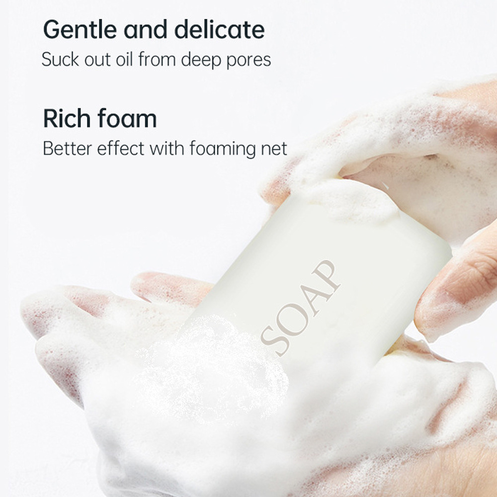 Whitening Donkey Milk Handmade - Soap Making Unit review and price