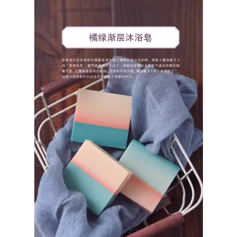 DIY Scented Soap Making Book w - Soap Making Recipe Book review and price